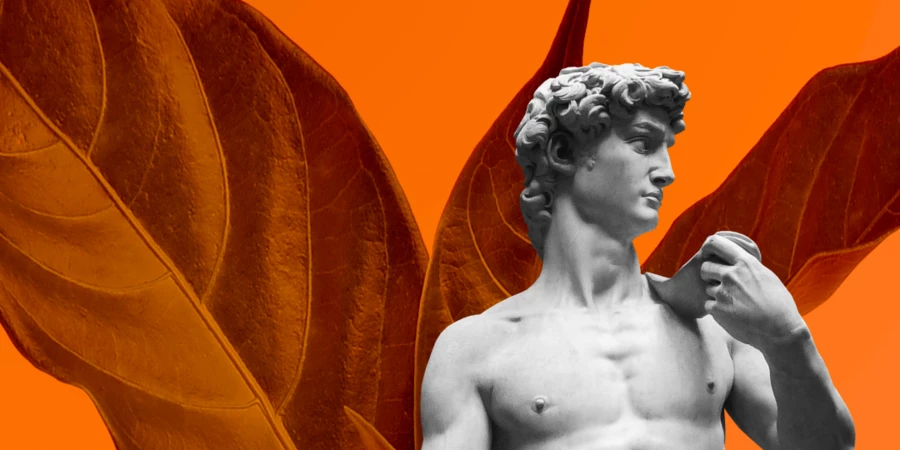 Aesthetics Sells: Why Does Beauty Evoke Trust? 