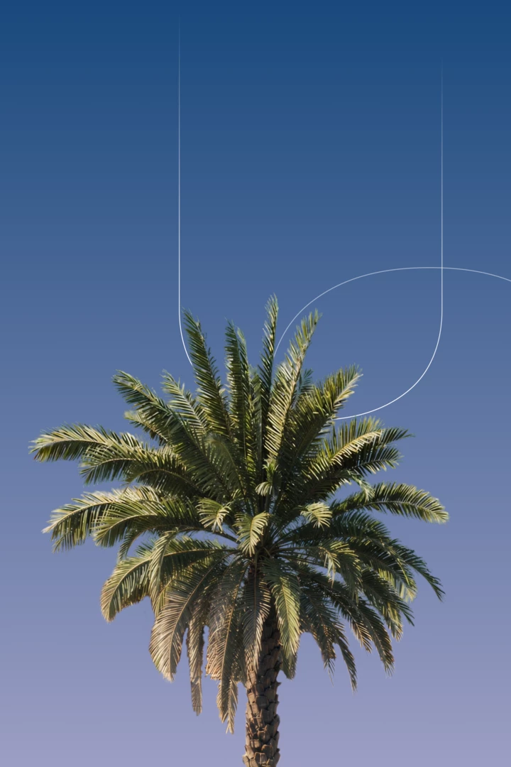 Case Study of the Azure Premium Residential Compounds Website Development