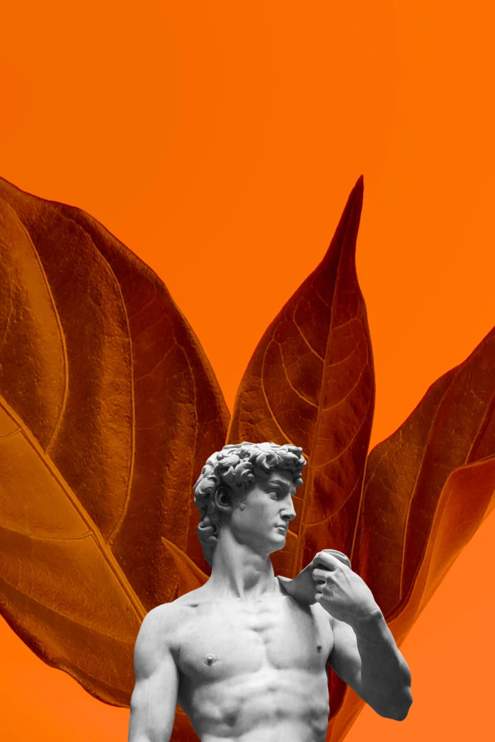 Aesthetics Sells: Why Does Beauty Evoke Trust? 
