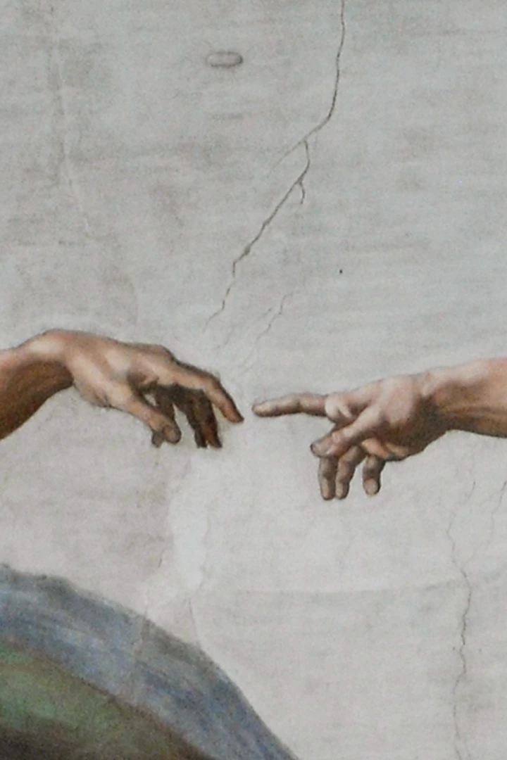 Follow.art