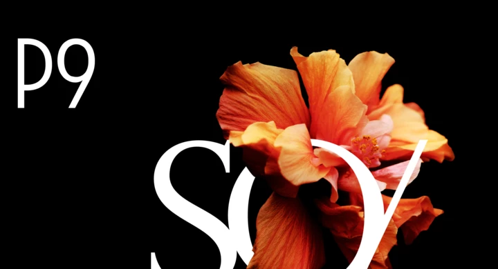 Poklonnaya 9